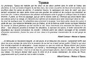 079 ARCHEOLOGIE AERIENNE_000022